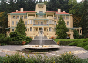 Dům Bedřicha Smetany, Luhacovice